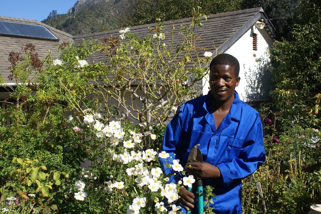 Klein Bosheuwel Guest House Kaapstad Buitenkant foto