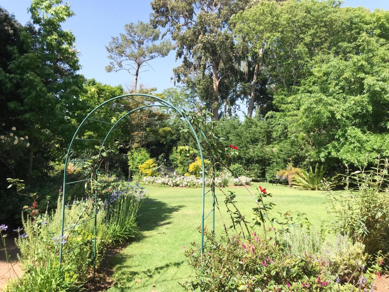 Klein Bosheuwel Guest House Kaapstad Buitenkant foto