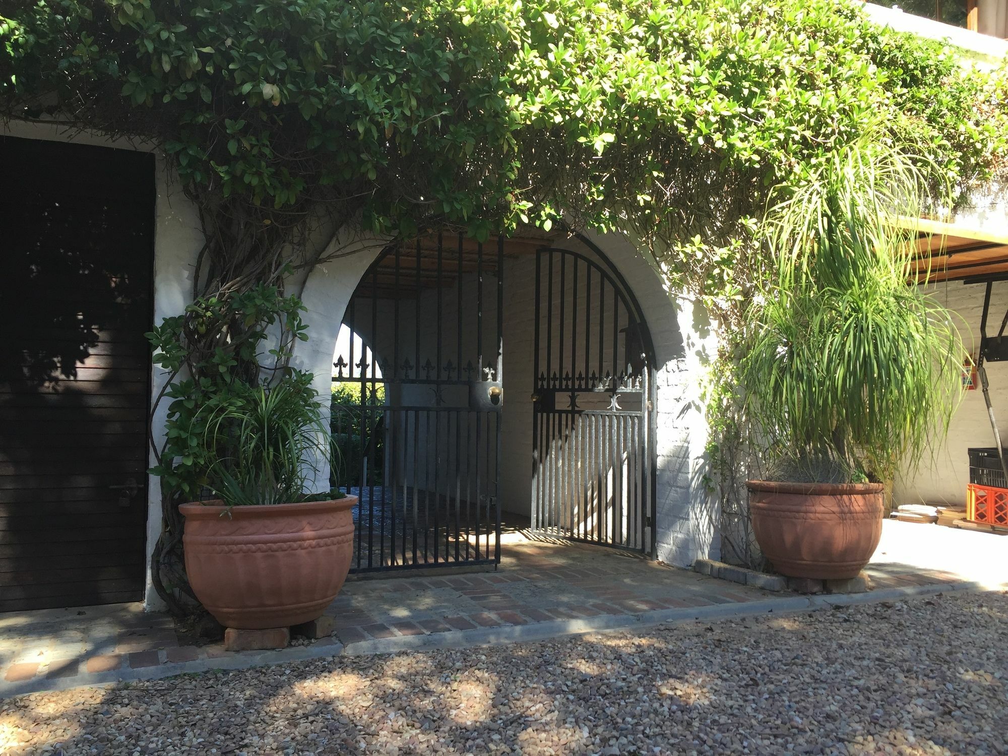 Klein Bosheuwel Guest House Kaapstad Buitenkant foto